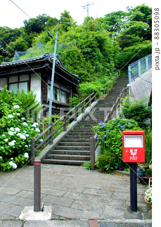 【島根】初夏の松江 玉湯川沿いの趣のある石段と紫陽花 【島根】初夏の松江 玉湯川沿いの趣のある石段と紫陽花 88305098