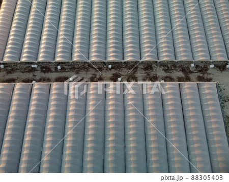 Aerial drone view of huge areas greenhouse for growing vegetables. Greenhouse farming, agriculture industry. Flying over large industrial greenhouses at sunset. 88305403