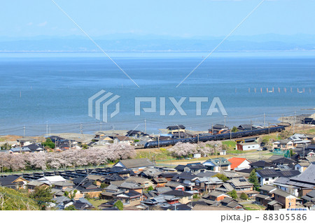 桜咲く有明海沿いを行く特急「かもめ」（JR九州 787系） 88305586