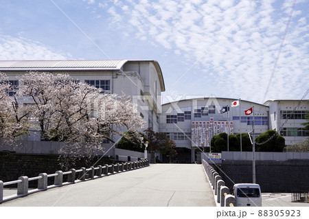 さくら咲く福岡県立三池工業高等学校 さくら咲く福岡県立三池工業高等学校 88305923