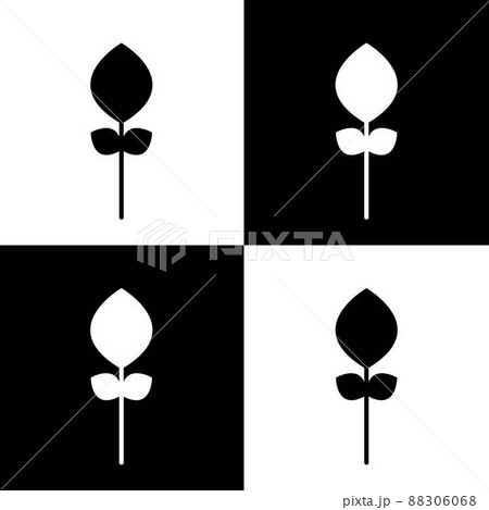 Seamless floral pattern vector flower shape doodle plant abstract background illustration for digital and print materials. 88306068