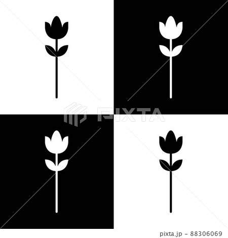 Seamless floral pattern vector flower shape doodle plant abstract background illustration for digital and print materials. 88306069