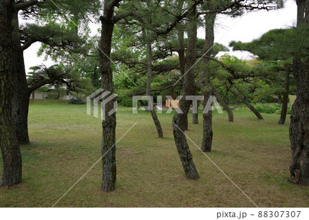 中津万象園 88307307