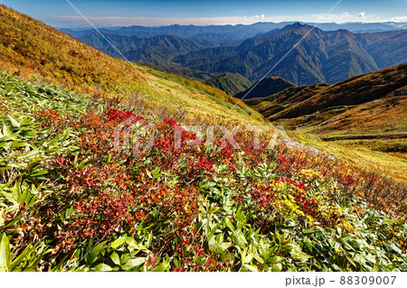 紅葉の越後駒ヶ岳稜線から見る荒沢岳 紅葉の越後駒ヶ岳稜線から見る荒沢岳 88309007