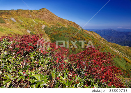 紅葉の越後駒ヶ岳稜線の風景 88309753