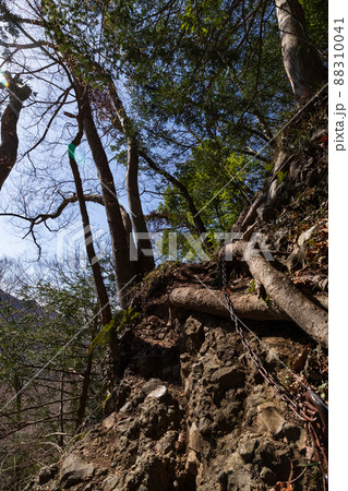 奥久慈男体山の鎖場(早春) 奥久慈男体山の鎖場(早春) 88310041