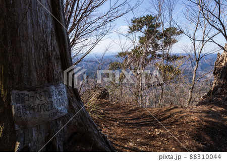 奥久慈男体山の登山道(早春) 奥久慈男体山の登山道(早春) 88310044