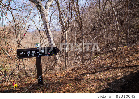 奥久慈男体山の登山道(早春) 奥久慈男体山の登山道(早春) 88310045