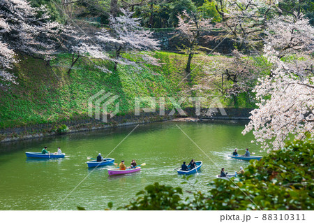 桜満開の千鳥ヶ淵 88310311