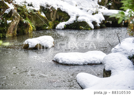 雪の金剛輪寺2022年1月 88310530