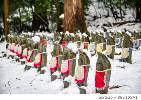 雪の金剛輪寺2022年1月 88310541