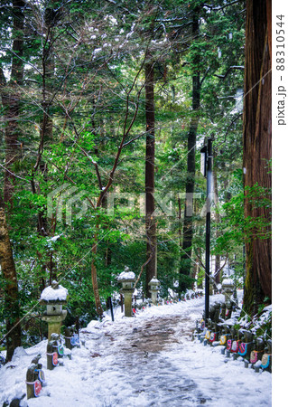 雪の金剛輪寺2022年1月 88310544