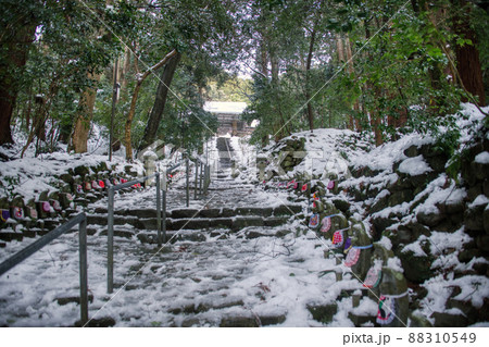 雪の金剛輪寺2022年1月 雪の金剛輪寺2022年1月 88310549
