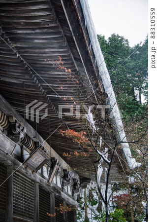 雪の金剛輪寺2022年1月 88310559