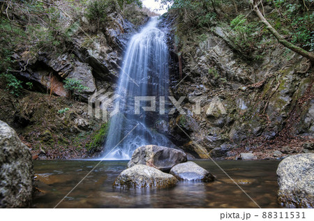 白藤滝（しらふじたき） 88311531