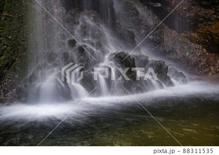 白藤滝(しらふじたき) 白藤滝(しらふじたき) 88311535