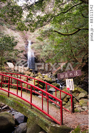 白藤滝（しらふじたき） 88311542