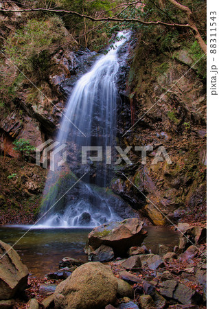 白藤滝(しらふじたき) 白藤滝(しらふじたき) 88311543