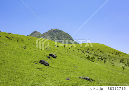 新緑の由布岳 新緑の由布岳 88312716