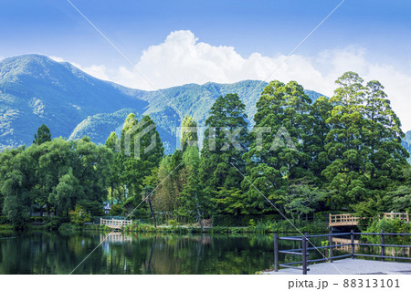 新緑の湯布院金鱗湖 新緑の湯布院金鱗湖 88313101