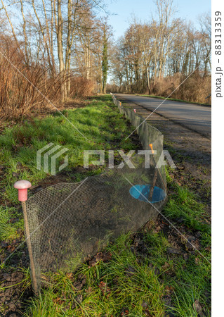 Fence on a road to protect batrachians during their spring migration. 88313359
