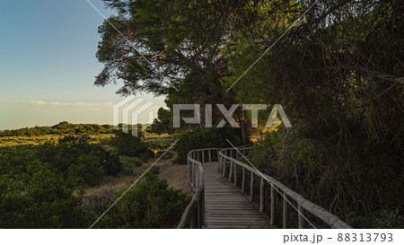 Donana National Park in Spain A UNESCO World Heritage Site Donana National Park in Spain A UNESCO World Heritage Site 88313793