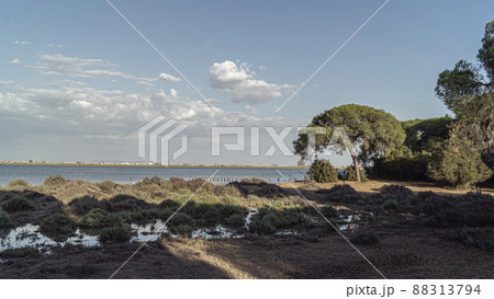 Donana National Park in Spain A UNESCO World Heritage Site 88313794