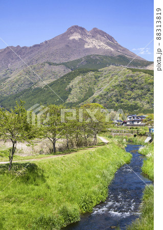 新緑の湯布院と由布岳 新緑の湯布院と由布岳 88313819