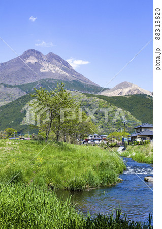 新緑の湯布院と由布岳 新緑の湯布院と由布岳 88313820