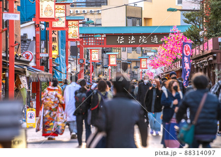 日本の東京都市景観　浅草寺・仲見世通りから「伝法院通」（伝法院通り）などを望む 88314097