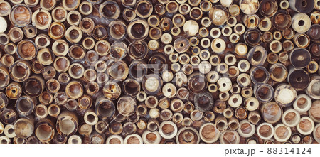 Bamboo wooden section cutting and design for backdrop background .natural concept idea for decoration .eco material style .save world .save environment idea Bamboo wooden section cutting and design for backdrop background .natural concept idea for decoration .eco material style .save world .save environment idea 88314124