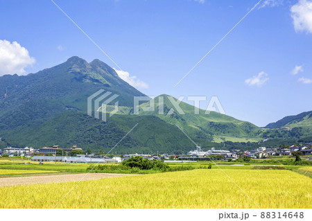 湯布院　田園風景 88314648