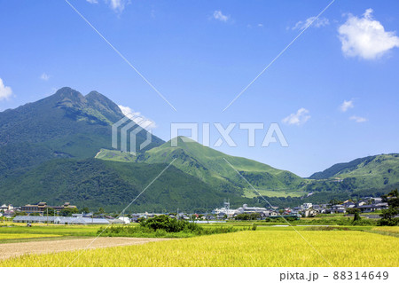 湯布院 田園風景 湯布院 田園風景 88314649
