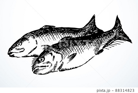 Vector fishes still life from the biblical story 88314823