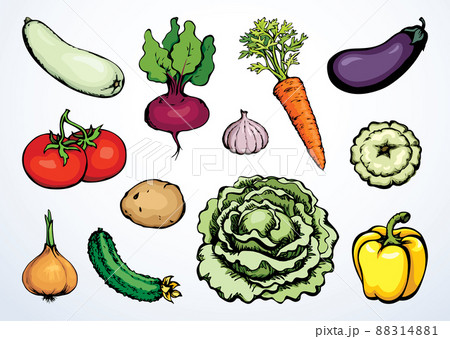 Fruits and vegetables Archives - Kidpid