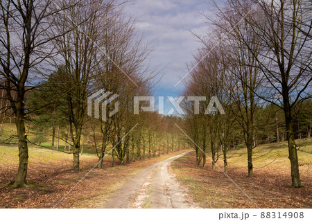 Curved path through the nature reserve De Paltz near Soest 88314908