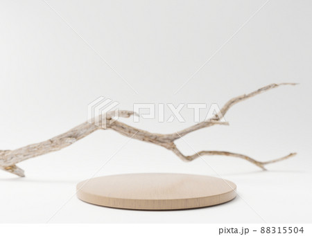 Wooden podium with tree branch on white background. Podium for product, cosmetic presentation. Natural mock up. Pedestal or platform for beauty products. Empty scene. 3D rendering. Wooden podium with tree branch on white background. Podium for product, cosmetic presentation. Natural mock up. Pedestal or platform for beauty products. Empty scene. 3D rendering. 88315504