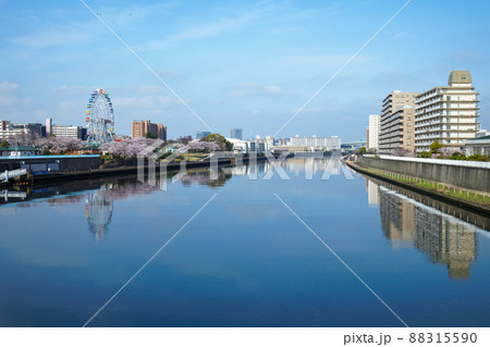 小台橋よりまもなくリニューアルオープンのあらかわ遊園の新観覧車と満開の桜を望む 小台橋よりまもなくリニューアルオープンのあらかわ遊園の新観覧車と満開の桜を望む 88315590