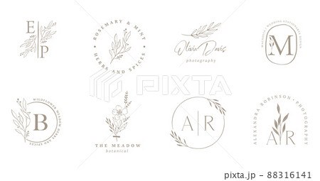 Elegant, botanique logo collection, hand drawn illustrations of flowers, leaves and twig, delicate 88316141