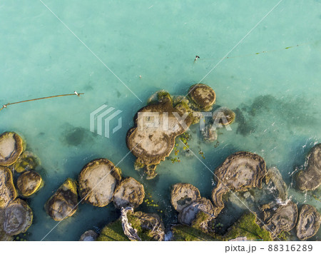 Aerial Drone Shot of Ancient Stromatolites in seven colores lagoon near Bacalar, Quintana Roo, Mexico Aerial Drone Shot of Ancient Stromatolites in seven colores lagoon near Bacalar, Quintana Roo, Mexico 88316289