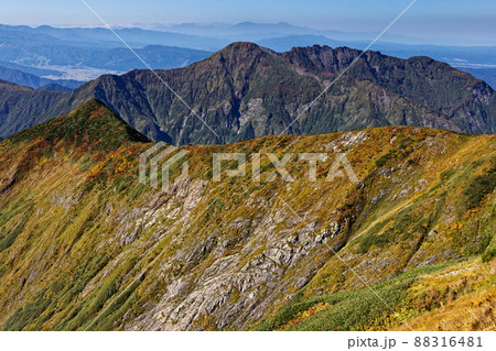 紅葉の越後駒ヶ岳稜線から見る八海山 88316481