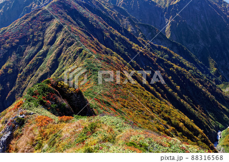 越後駒ヶ岳稜線から見る紅葉の中ノ岳への縦走路 越後駒ヶ岳稜線から見る紅葉の中ノ岳への縦走路 88316568