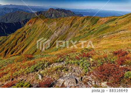 紅葉の越後駒ヶ岳稜線から見る八海山 紅葉の越後駒ヶ岳稜線から見る八海山 88316649