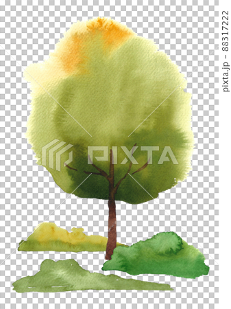 Tree watercolor Tree watercolor 88317222