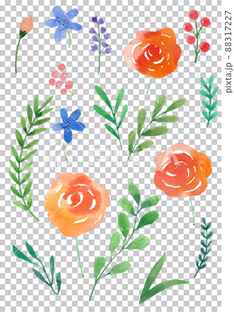 botanical watercolor botanical watercolor 88317227