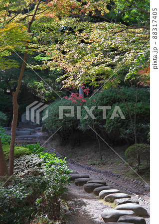 西之丸庭園 和歌山 西之丸庭園 和歌山 88317405