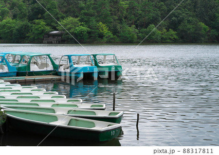 宝が池公園　京都 88317811