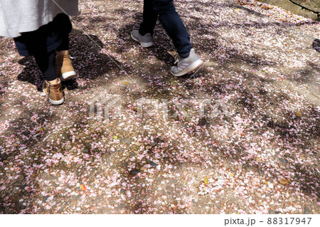 桜の花の終わり 桜の花の終わり 88317947
