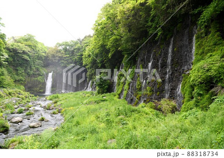 【富士宮市 水飛沫をあげる白糸の滝】 【富士宮市 水飛沫をあげる白糸の滝】 88318734