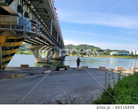 清潭大橋 水仙 88318896